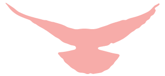 圖片 100004.png